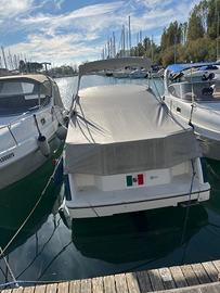Bayliner Sun Bridge 2655 anno 1991