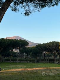 Cessione b&b avviato nel parco nazionale del vesuv