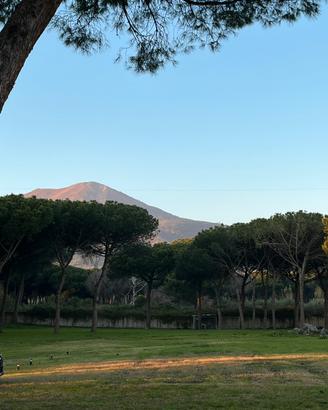 Cessione b&b avviato nel parco nazionale del vesuv