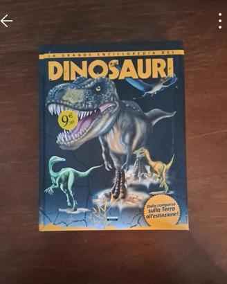 libro sui dinosauri per bambini 