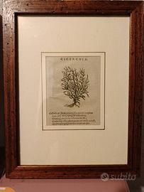 stampe xilografie originali 