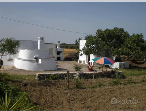 Trullo Saraceno con terreno con uliveto