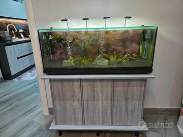 acquario 120 litri
