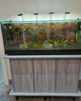 acquario 120 litri