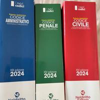 Codici NelDiritto 2024