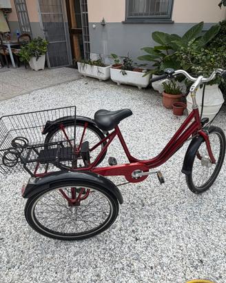 Bici 3 ruote con cestino