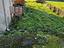 Immagine 11