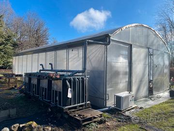 Serra Professionale 8x16mt - Completa di Accessori