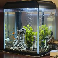 Acquario completo