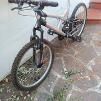 bicicletta usata 