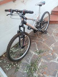 bicicletta usata 