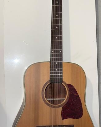 Chitarra IBANEZ