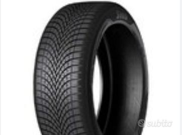 Pneumatici Sava All Weather 165/70 R14 81T