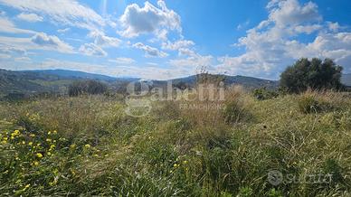 Terreno pressi svincolo di Bagheria Ter/56