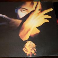 TERENCE TRENT D'ARBY  Neither Fish Nor Flesh LP 33