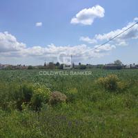 Terreno agricolo - Ruffano