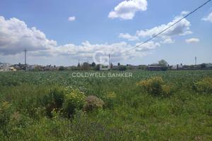 Terreno agricolo - Ruffano