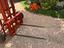 Immagine 16
