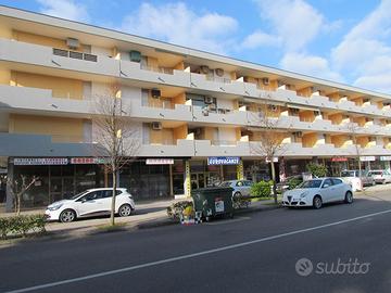 Locale commerciale disponibile da subito