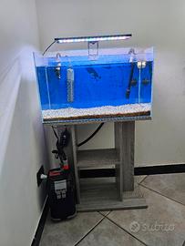 Acquario 80 lt