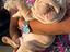 Immagine 4