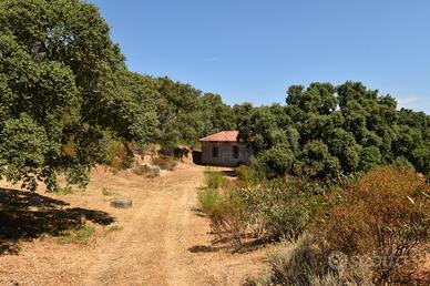 Rustico/Casale/Corte Telti [Cod. rif 3328734VRG]