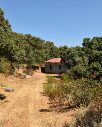 Rustico/Casale/Corte Telti [Cod. rif 3328734VRG]