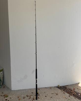 Canna da pesca da traina