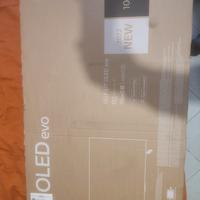 TV LG OLED 42C24LA