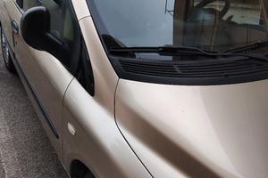 fiat Multipla Natural Pawer