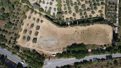 Terreno Edificabile in Agro di Usini