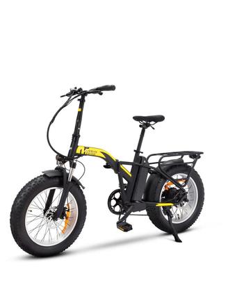 bici elettrica 