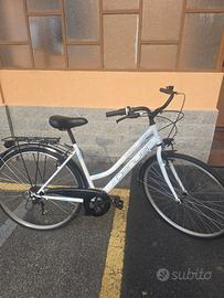 City bike Denver D-Road 1.0