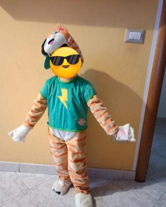 costume di carnevale 