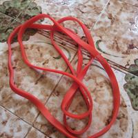 elastico trazioni palestra