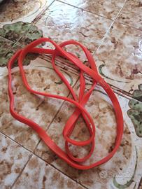 elastico trazioni palestra