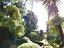 Immagine 24