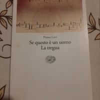Se Questo è un uomo 
