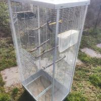 voliera per uccelli e pappagalli