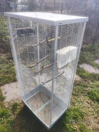 voliera per uccelli e pappagalli