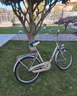 bicicletta graziella pieghevole ruote da 24