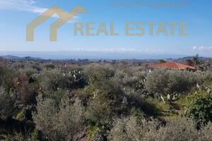 Terreno Con Piccolo Rudere Accatastato