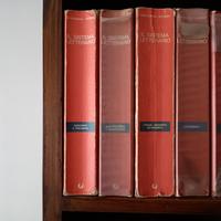 IL SISTEMA LETTERARIO di GUGLIELMINO-GROSSER