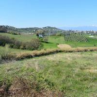 a montesilvano terreno zona via chiarini