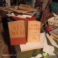 rivista Il mese  1° e 2° volume