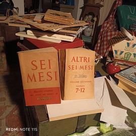 rivista Il mese  1° e 2° volume