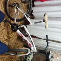 Bici Mountain bike Frejus 24