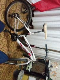 Bici Mountain bike Frejus 24