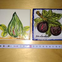 Piastrelle in terracotta  decoro frutto del fico