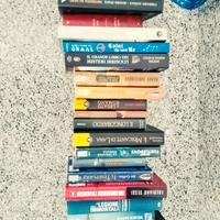 Romanzi storici e saggi